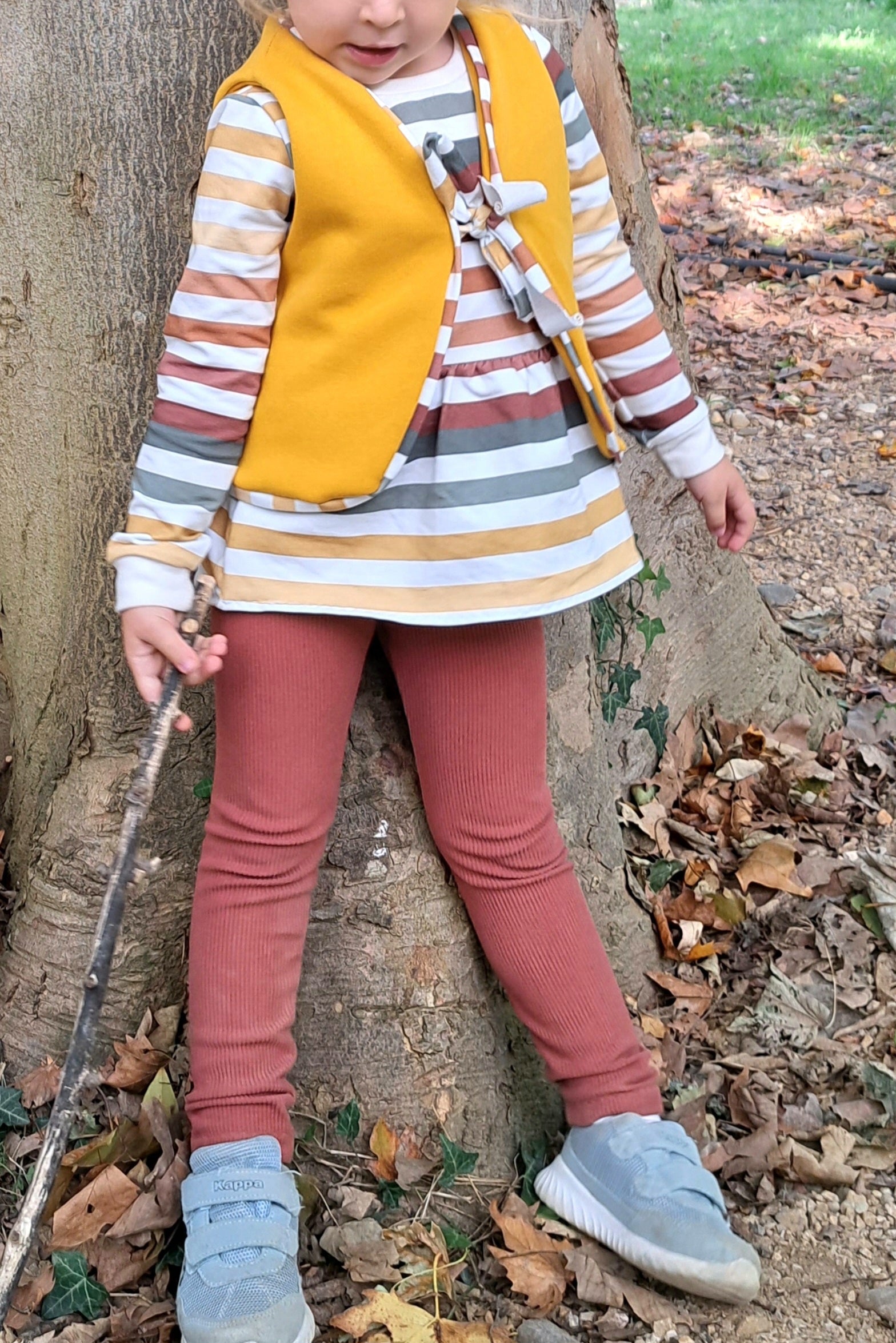 Herbst Streifen Dauervorbestellung